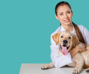 Métiers animaliers accessibles sans diplôme